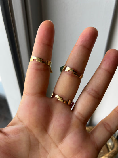 Vis ring